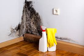 Best Dehumidification Services  in Charlotte, NC